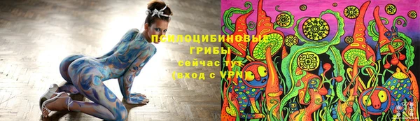 стафф Абинск