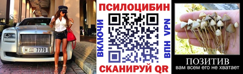 наркошоп  Цимлянск  Псилоцибиновые грибы MAGIC MUSHROOMS 